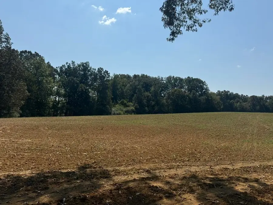 25 BELL GROVE RD, Eads, TN 38028 - Image #2