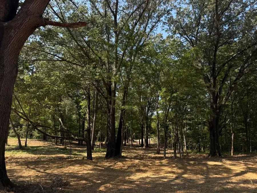 25 BELL GROVE RD, Eads, TN 38028 - Image #3