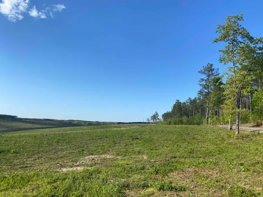 1 OTIS PAINE RD, Bethel Springs, TN 38315 - Image #2