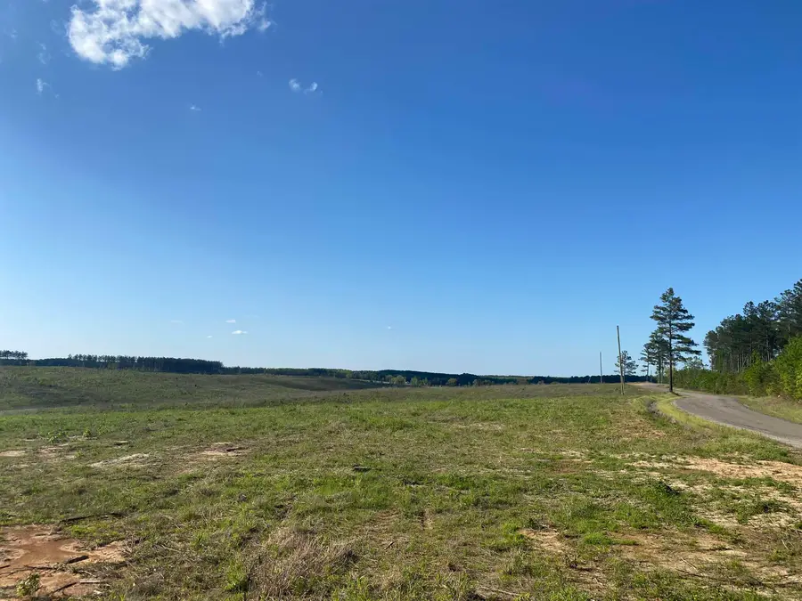 2 OTIS PAINE RD, Bethel Springs, TN 38315 - Image #2