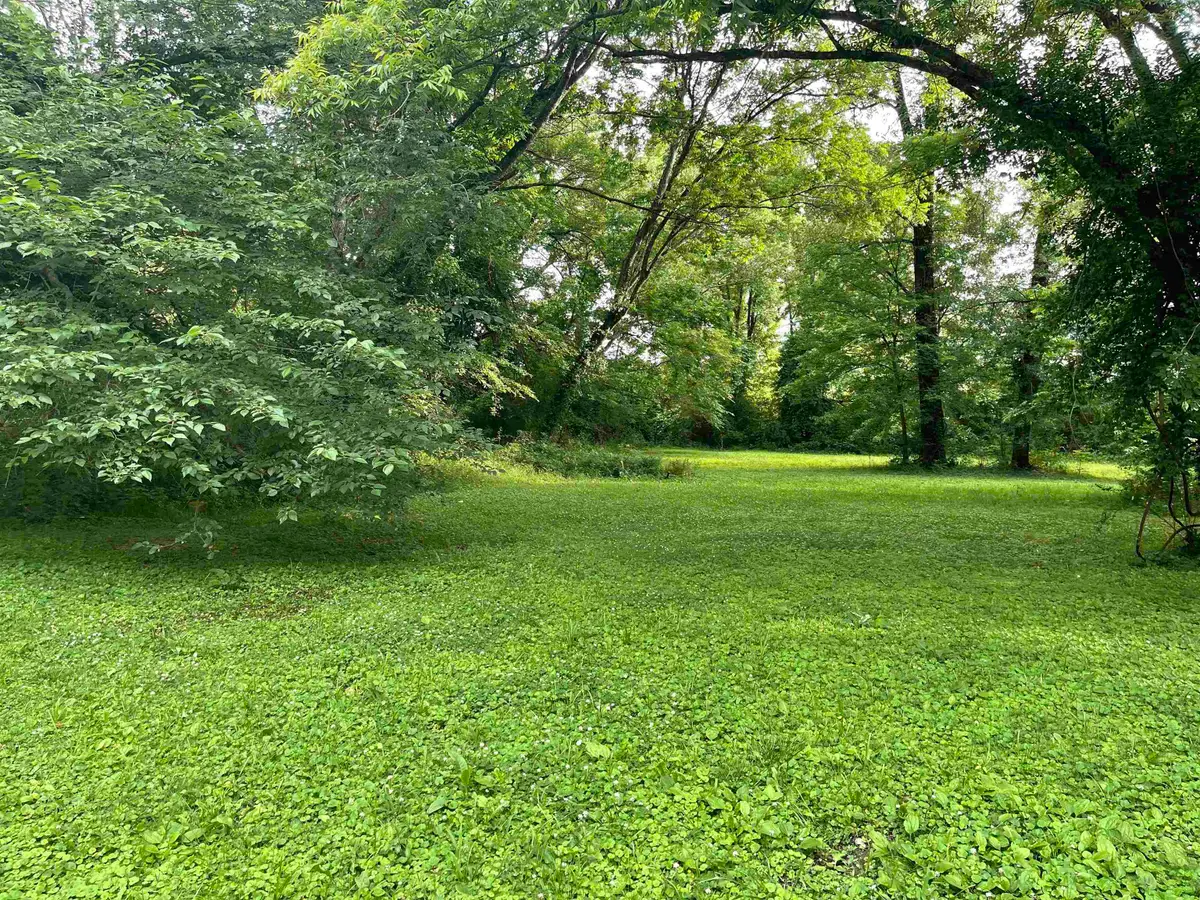 0 CAROLINA ST, Henderson, TN 38340 - Image #1