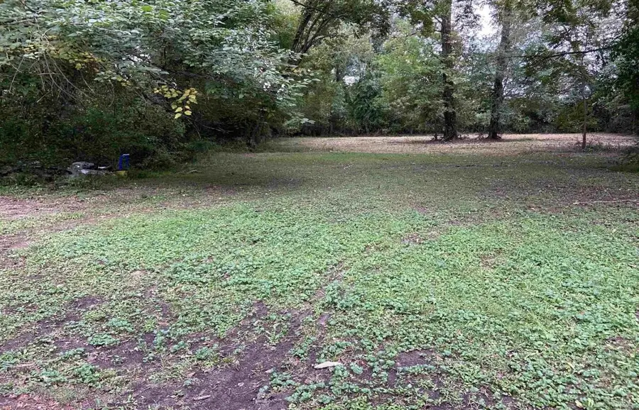 0 CAROLINA ST, Henderson, TN 38340 - Image #3