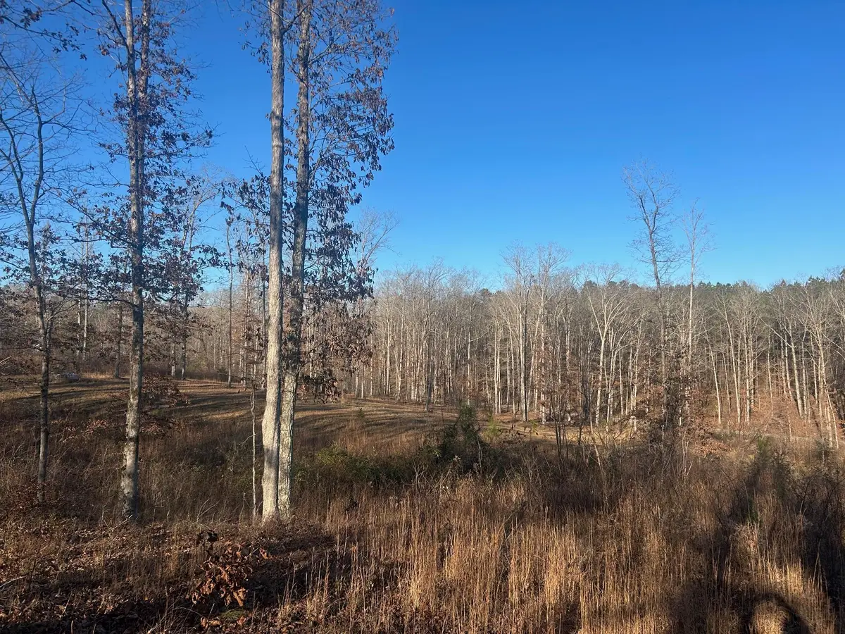 339 BLAND HOLLOW RD RD, Hohenwald, TN 38462 - Image #1