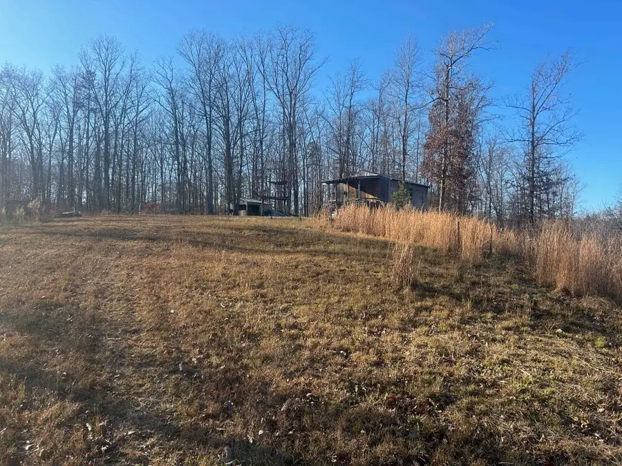 339 BLAND HOLLOW RD RD, Hohenwald, TN 38462 - Image #2