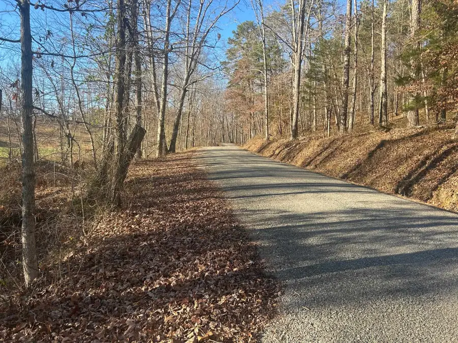 339 BLAND HOLLOW RD RD, Hohenwald, TN 38462 - Image #3