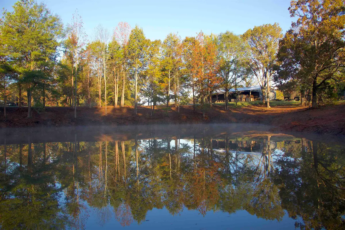 3105 YAGER DR, Moscow, TN 38057 - Image #1