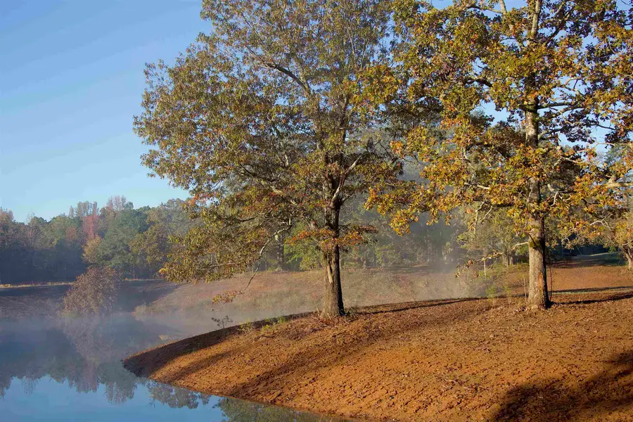 3105 YAGER DR, Moscow, TN 38057 - Image #3