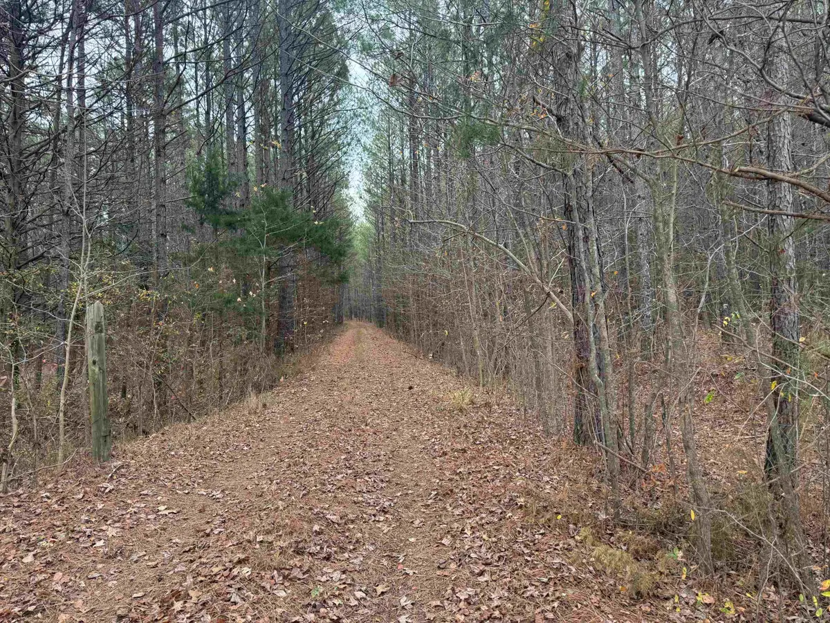 00 TRAMHAM RD, Guys, TN 38375 - Image #1