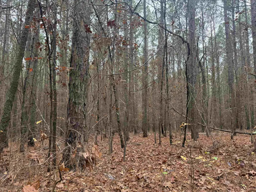 00 TRAMHAM RD, Guys, TN 38375 - Image #3