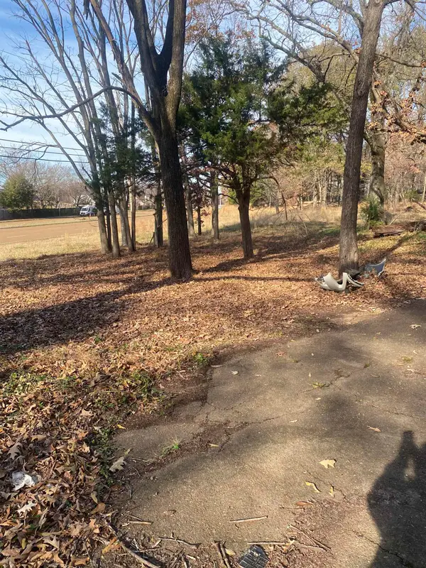 NEW BROWNSVILLE RD, 38135, TN 38135