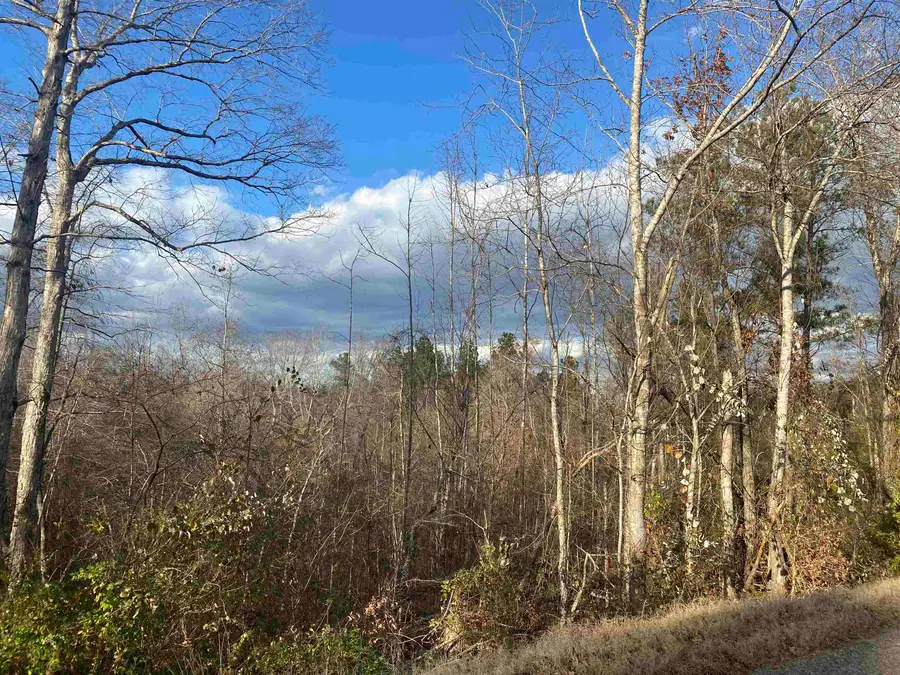 1 ROSE CREEK RD, Selmer, TN 38375 - Image #2