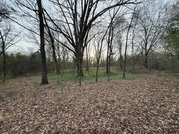 261 AC. MACON RD, Unicorp/Eads, TN 38028