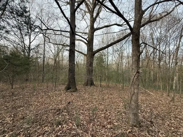 261 AC. MACON RD, Eads, TN 38028 - Image #3