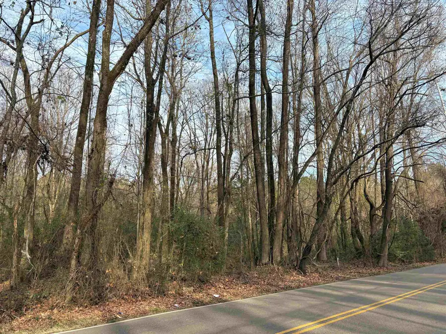 0 OLD MILLINGTON RD, Memphis, TN 38127 - Image #2