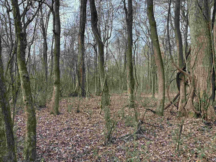 0 OLD MILLINGTON RD, Memphis, TN 38127 - Image #3