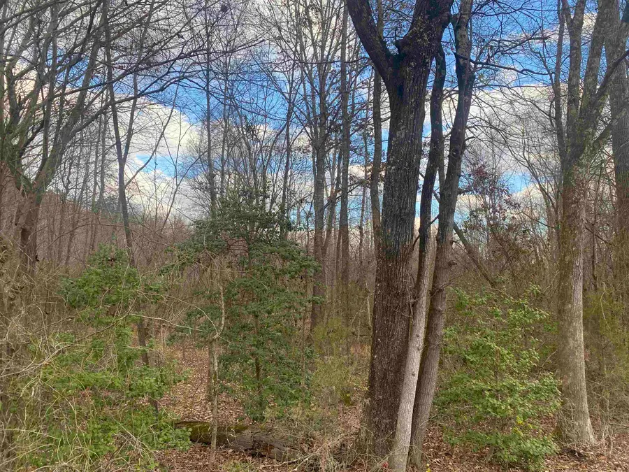 7 HUGHEY TALLEY RD, Selmer, TN 38375 - Image #3