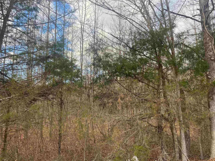 8 ROSE CREEK RD, Selmer, TN 38375 - Image #3