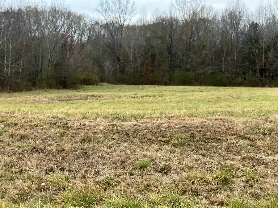 22345 HWY 64 HWY, Somerville, TN 38068 - Image #3