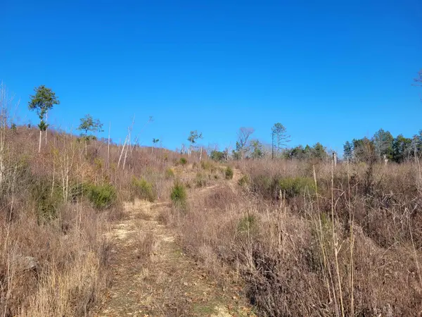 01 WHITEOAK RD W, Clifton, TN 38425