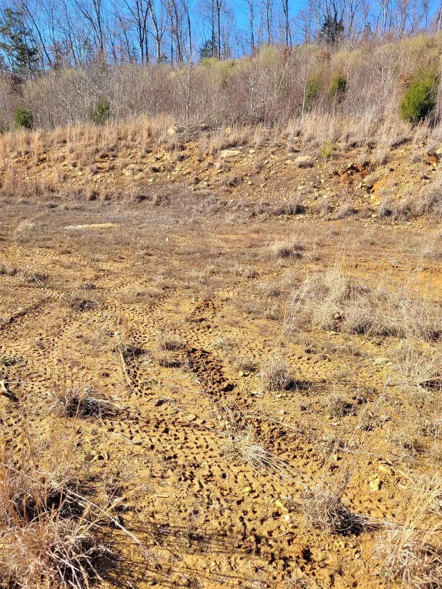 01 WHITEOAK RD W, Clifton, TN 38425 - Image #2