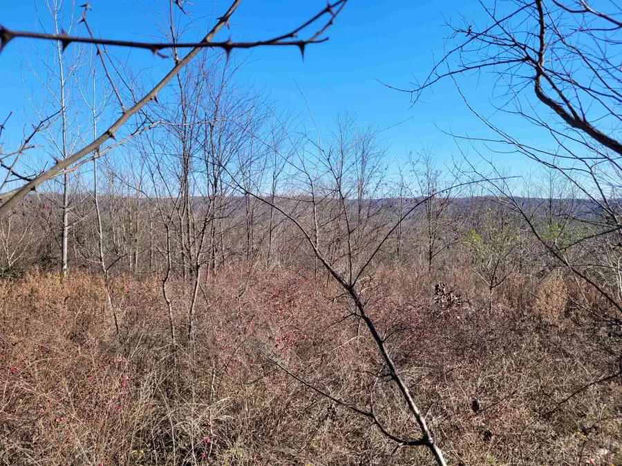 01 WHITEOAK RD W, Clifton, TN 38425 - Image #3