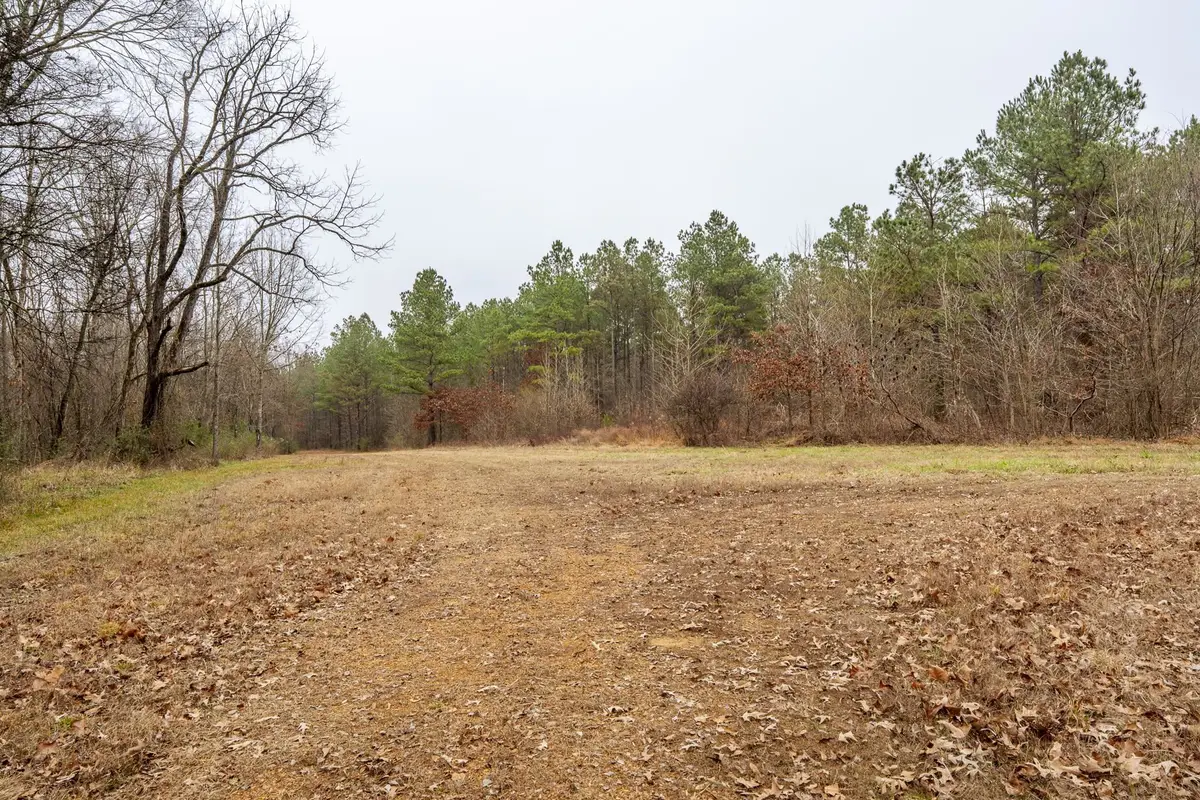 10970 PEA VINE RD, Pocahontas, TN 38061-5002 - Image #1