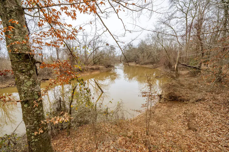 10970 PEA VINE RD, Pocahontas, TN 38061-5002 - Image #2