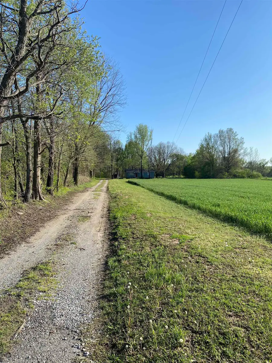 1661 CHARLESTON RD, Stanton, TN 38069-5009 - Image #2