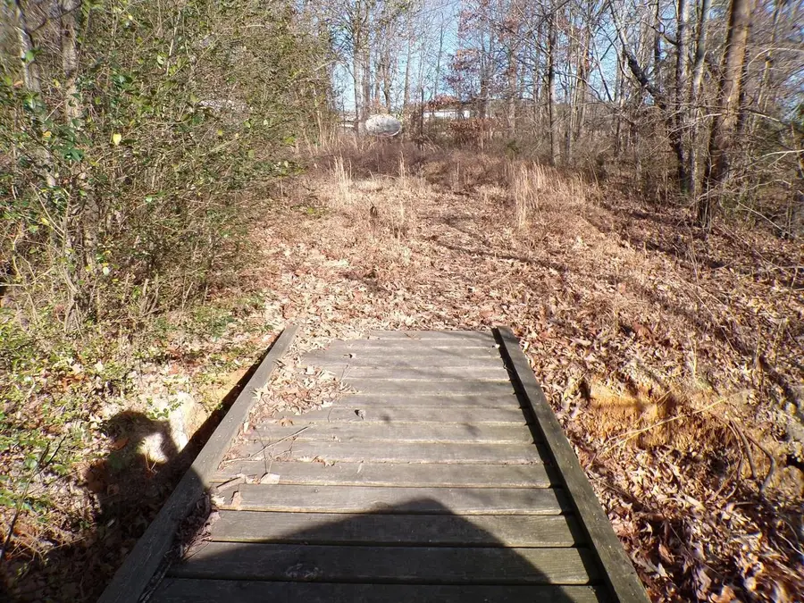 442 142 HWY, Selmer, TN 38375 - Image #3