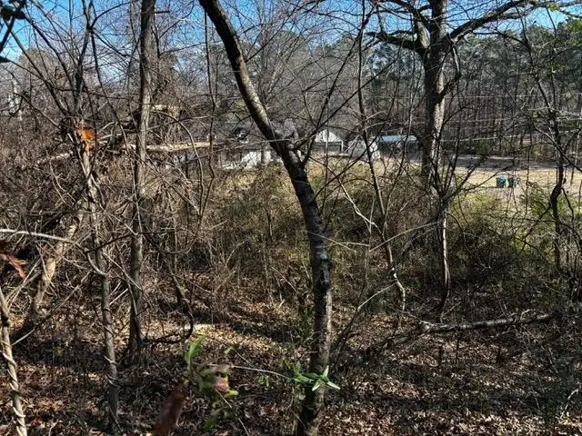 WORDON WAY DR, Munford, TN 38058 - Image #3