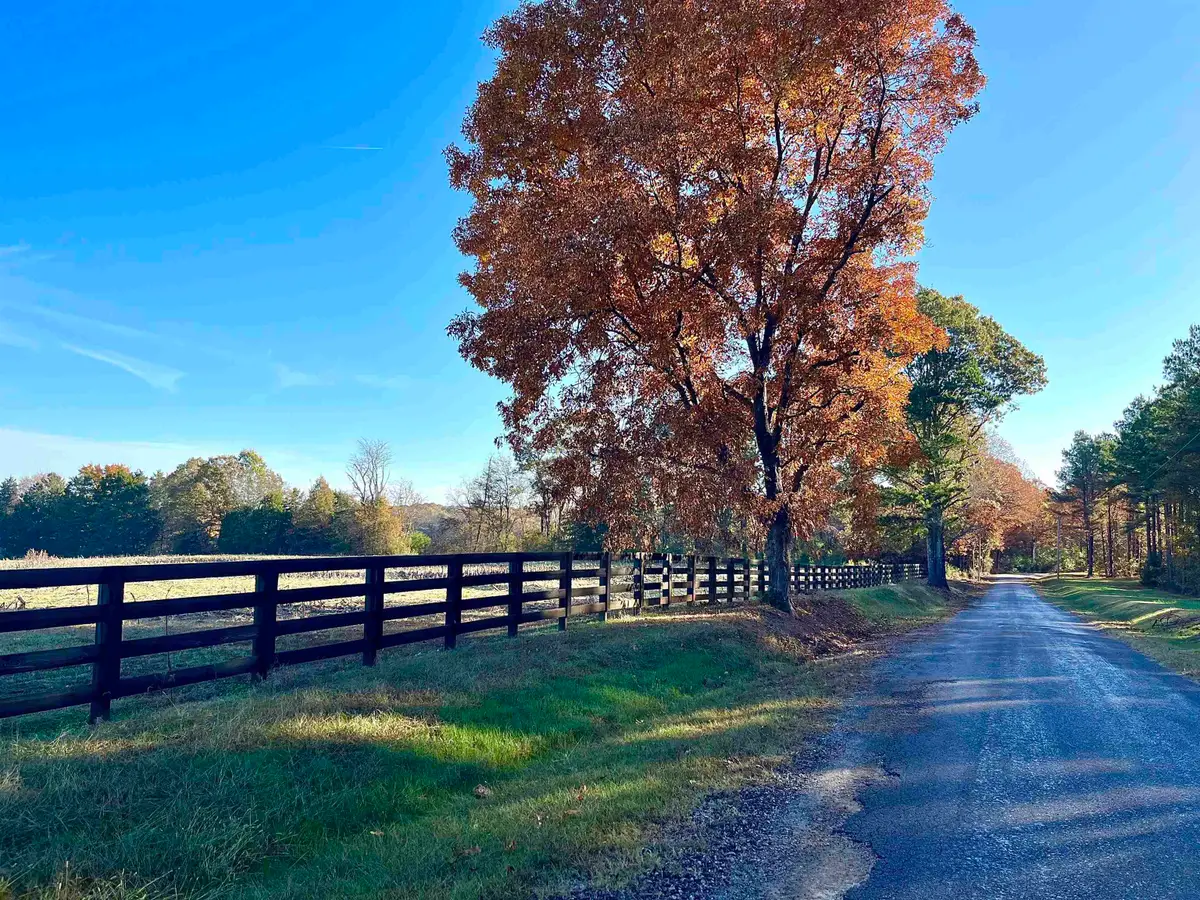 295 WEST FORK RD, Grand Junction, TN 38039 - Image #1