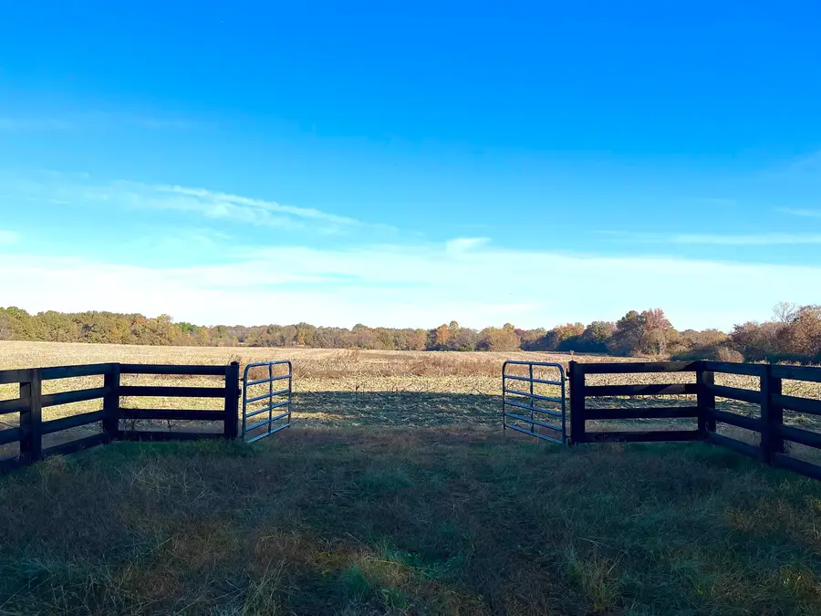 295 WEST FORK RD, Grand Junction, TN 38039 - Image #3