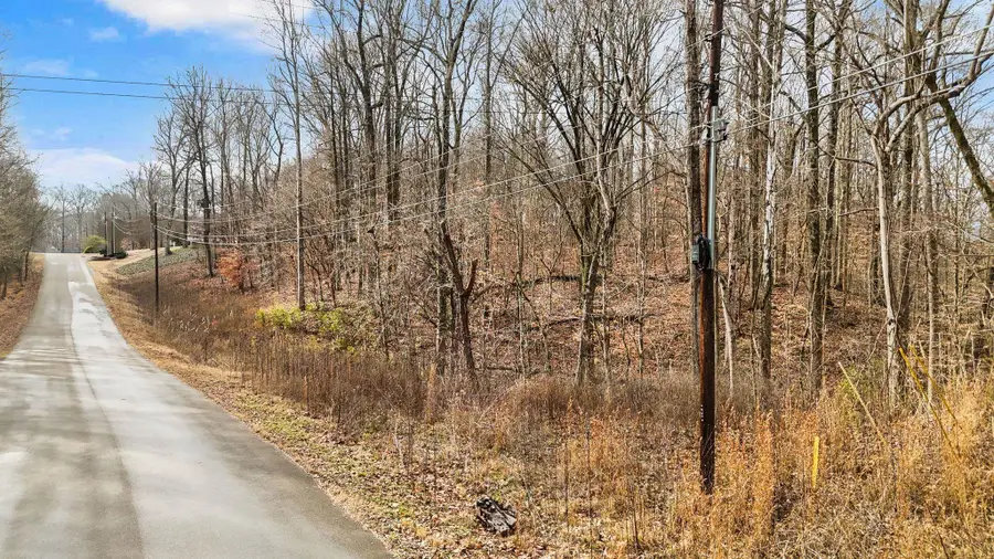 0 SUSAN'S CIR, Drummonds, TN 38023 - Image #2