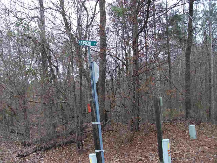 LOT 20 RAINBOW LN, Counce, TN 38326 - Image #2