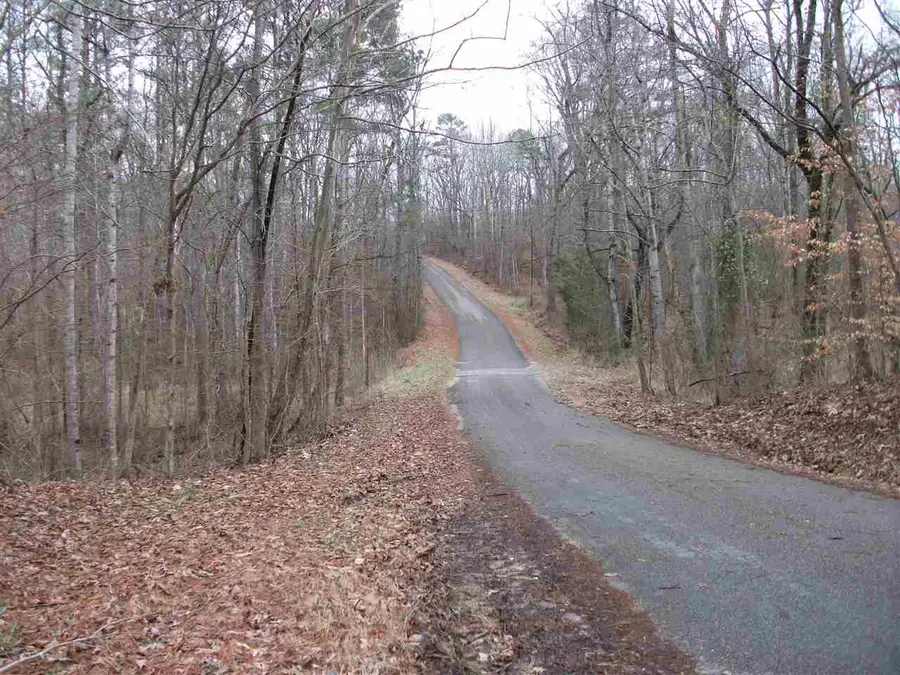 LOT 13 RAINBOW LN, Counce, TN 38326 - Image #3