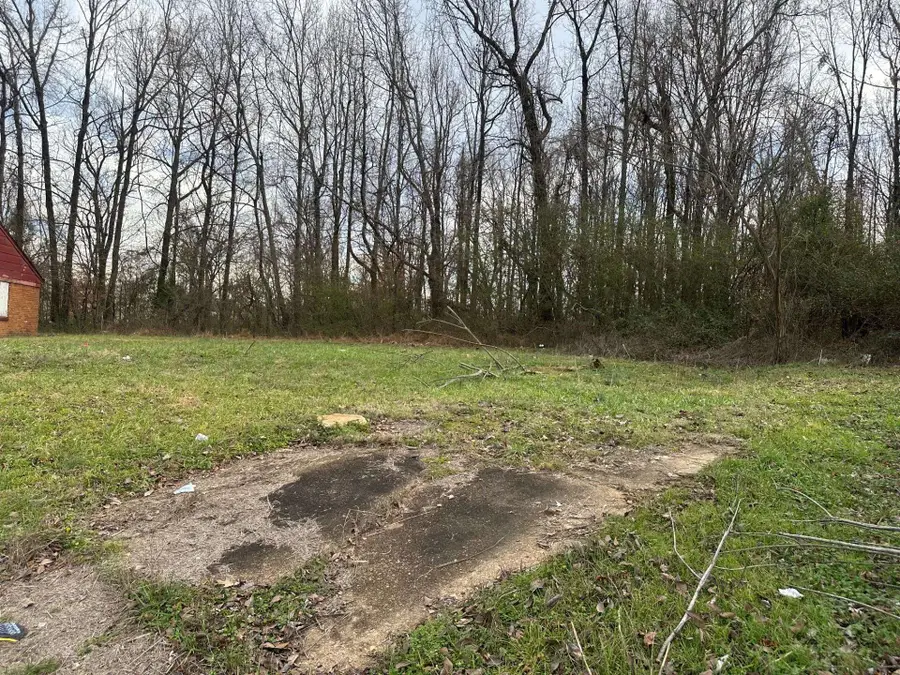 3005 ELBERT CV, Memphis, TN 38127 - Image #2