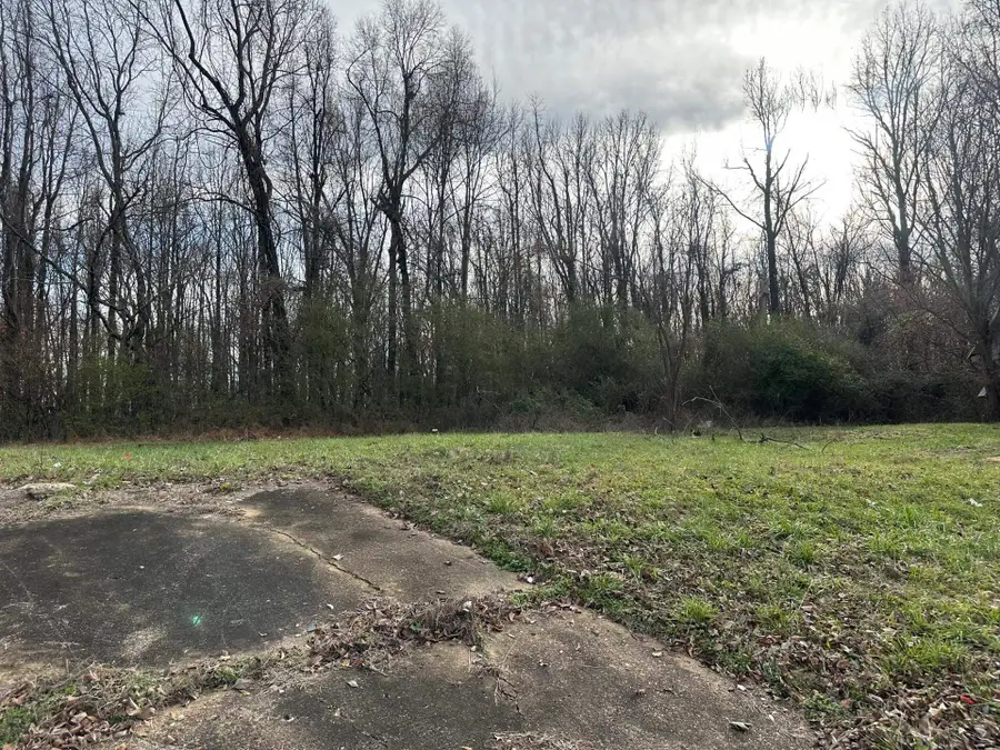 3005 ELBERT CV, Memphis, TN 38127 - Image #3