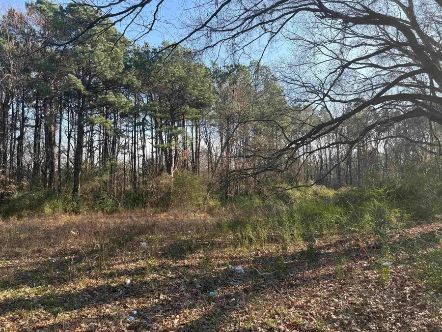 0 MARY DR, Memphis, TN 38111 - Image #2