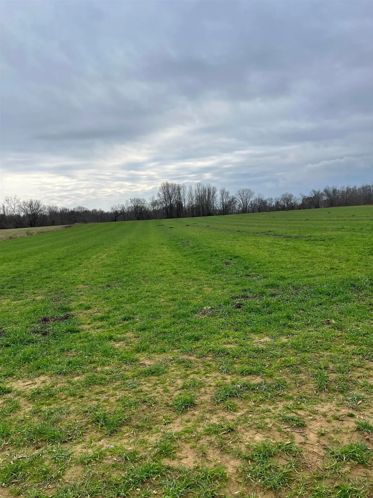 01 SCHOLES LN, Stanton, TN 38069 - Image #1