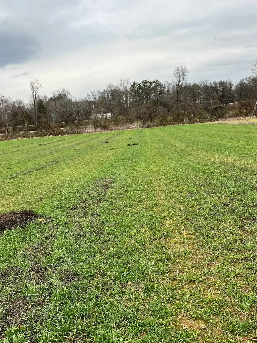 01 SCHOLES LN, Stanton, TN 38069 - Image #2