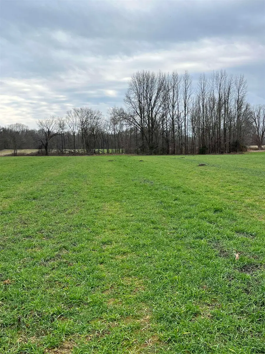 01 SCHOLES LN, Stanton, TN 38069 - Image #3