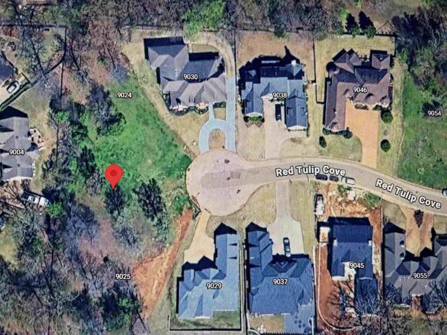 9021 RED TULIP CV, Cordova, TN 38018 - Image #2