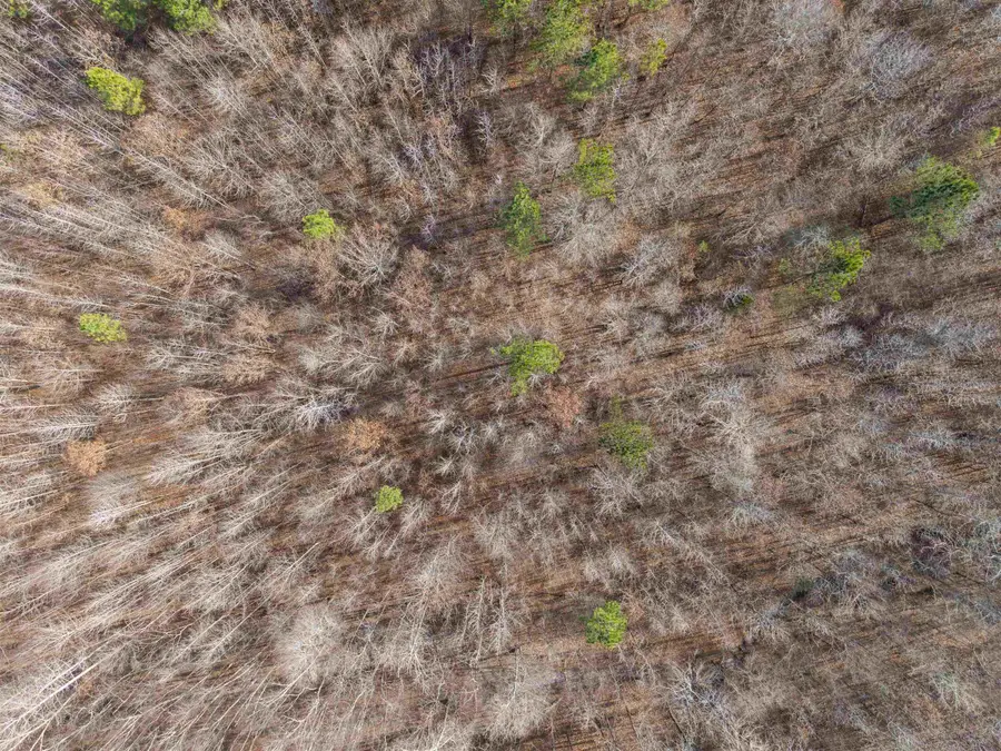 BY PASS 64 & 45 & FALCON HWY, Selmer, TN 38375 - Image #2