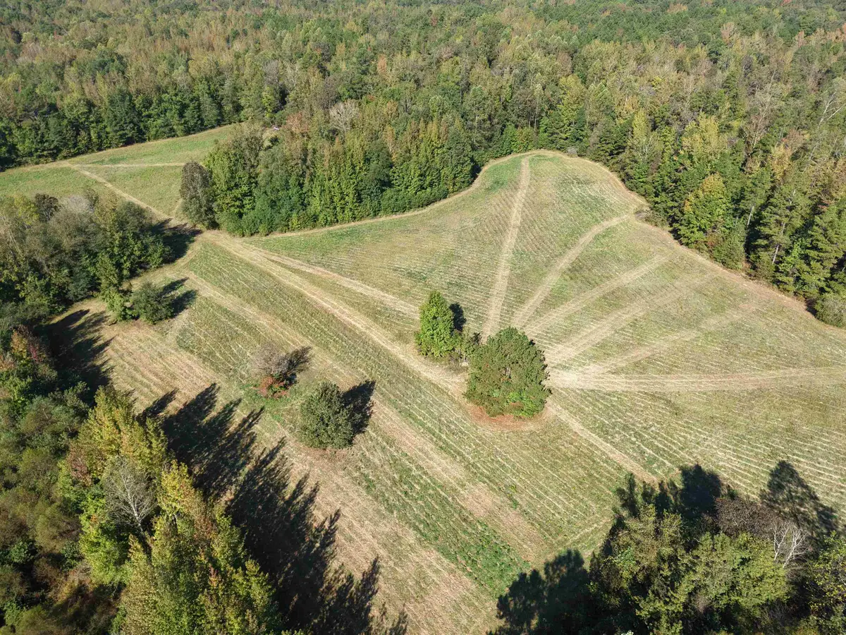 000 BURGESS LOOP RD, Middleton, TN 38052 - Image #1