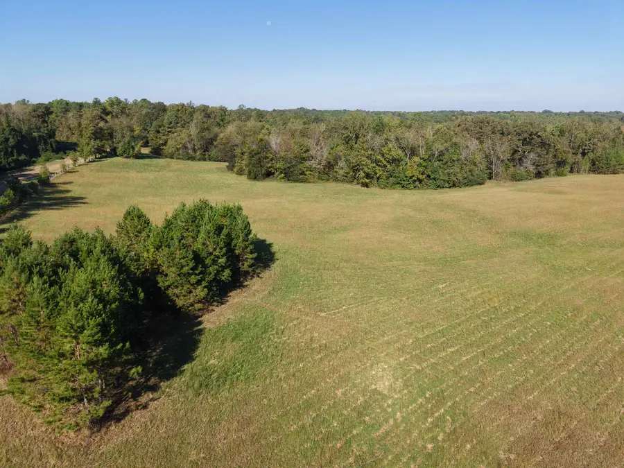 000 BURGESS LOOP RD, Middleton, TN 38052 - Image #2