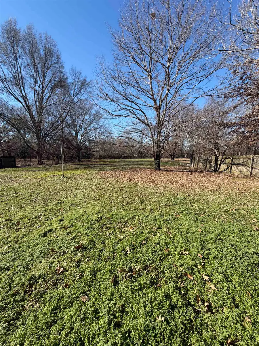 417 TURNER LN, Covington, TN 38019 - Image #3