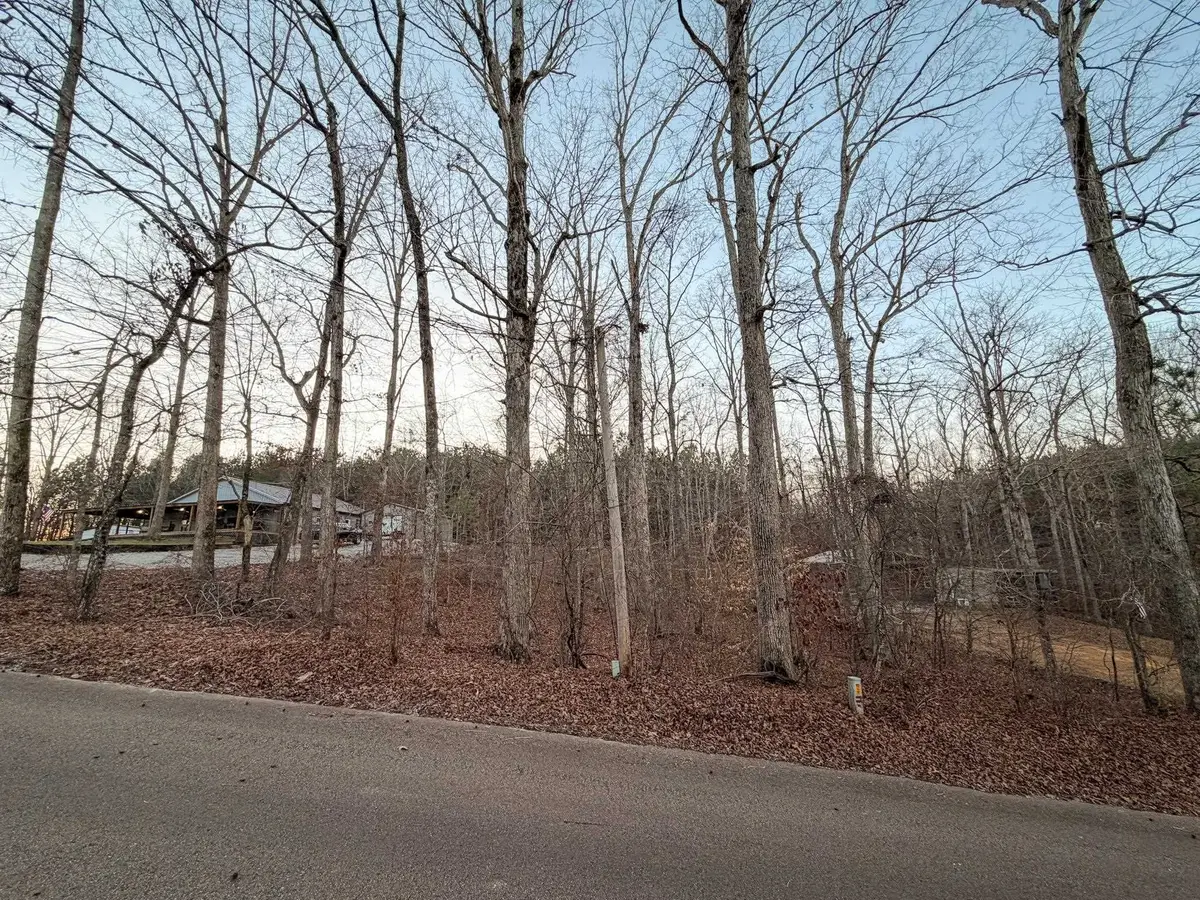 0 YELLOW CREEK LN, Counce, TN 38326 - Image #1