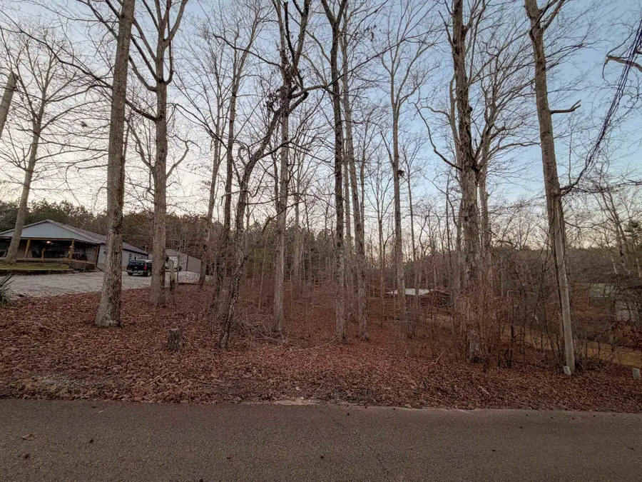 0 YELLOW CREEK LN, Counce, TN 38326 - Image #3