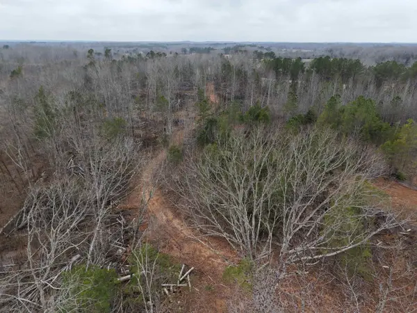 000 SPRING HILL CEMETERY RD RD, Sardis, TN 38371