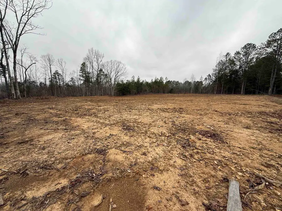 000 SPRING HILL CEMETERY RD RD, Sardis, TN 38371 - Image #3